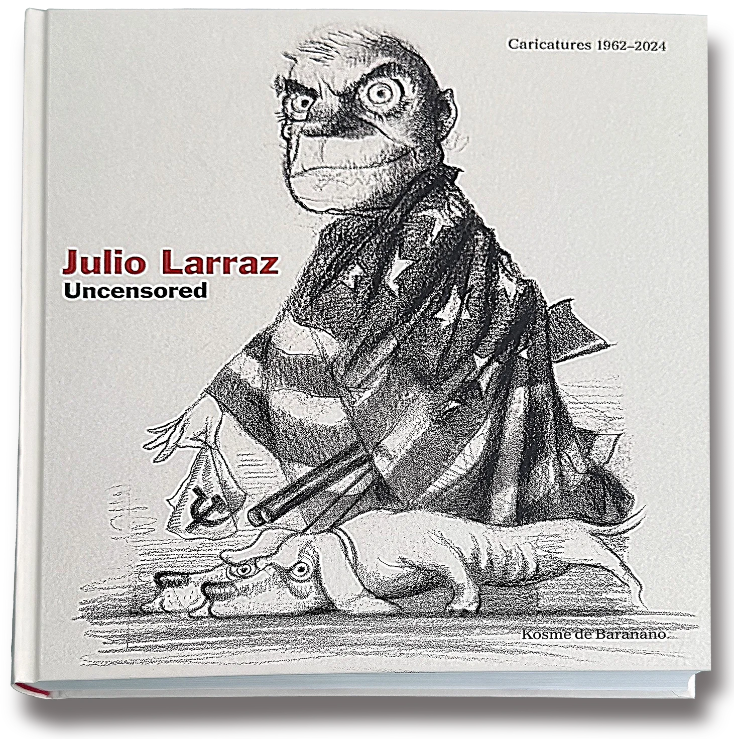 Publications — JULIO LARRAZ